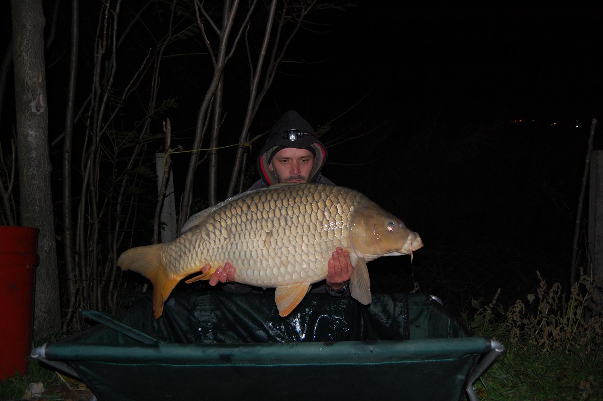 final de sezon 2015  - 19,4 kg